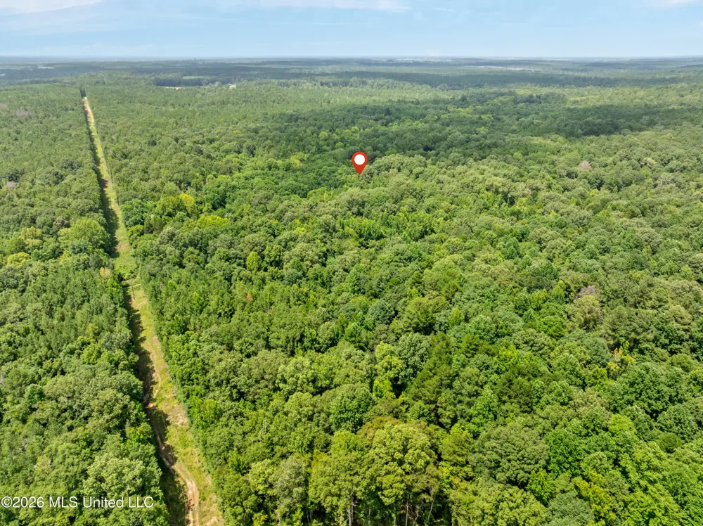 0 E Of Hwy 45 Waynesboro, MS 39367