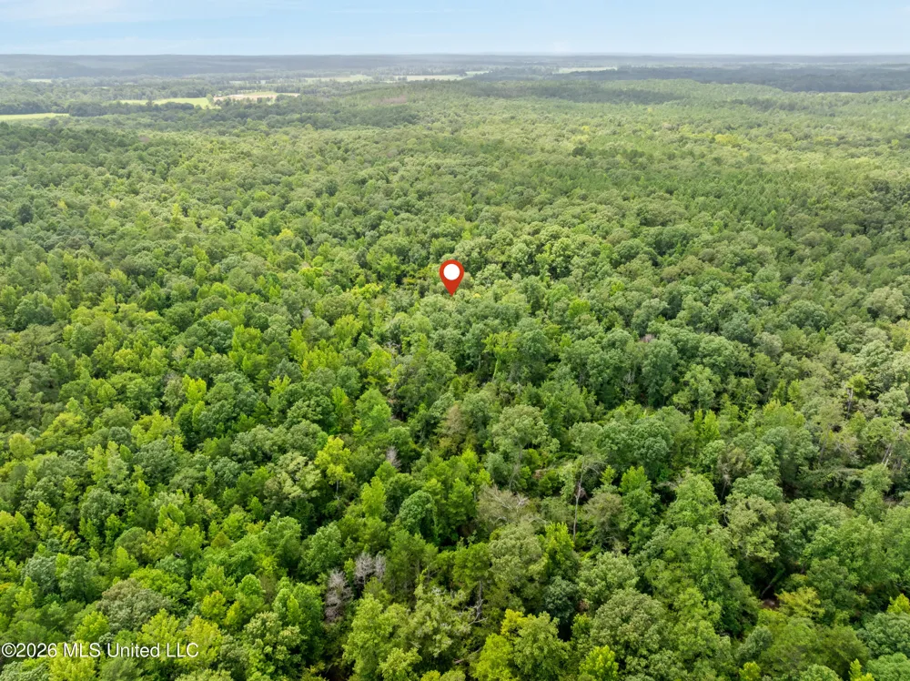 0 E Of Hwy 45 Waynesboro, MS 39367