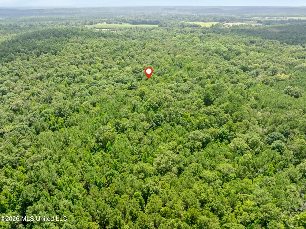 0 E Of Hwy 45 Waynesboro, MS 39367