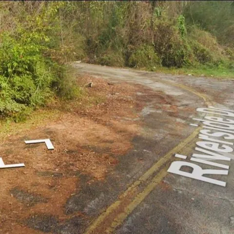Chinquapin Lane