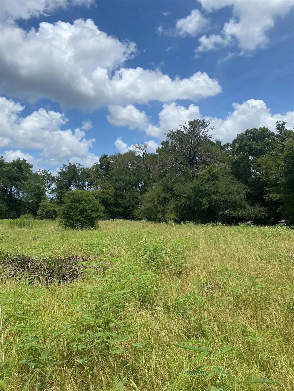 10675 Whiterock Road Bremond, TX 76629