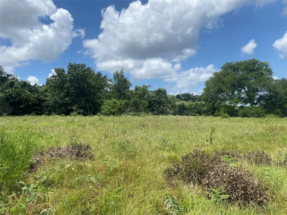10675 Whiterock Road Bremond, TX 76629