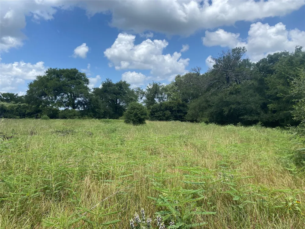 10675 Whiterock Road Bremond, TX 76629