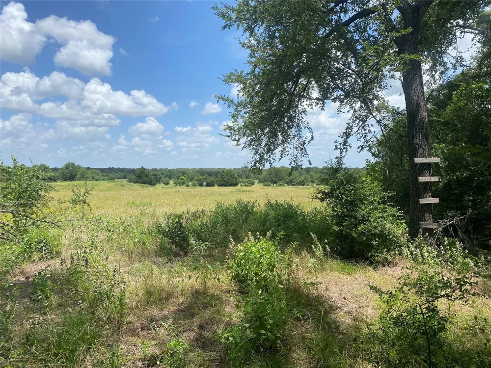 10675 Whiterock Road Bremond, TX 76629