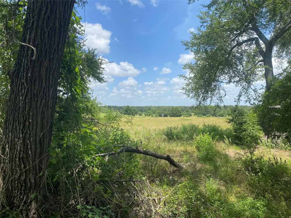 10675 Whiterock Road Bremond, TX 76629