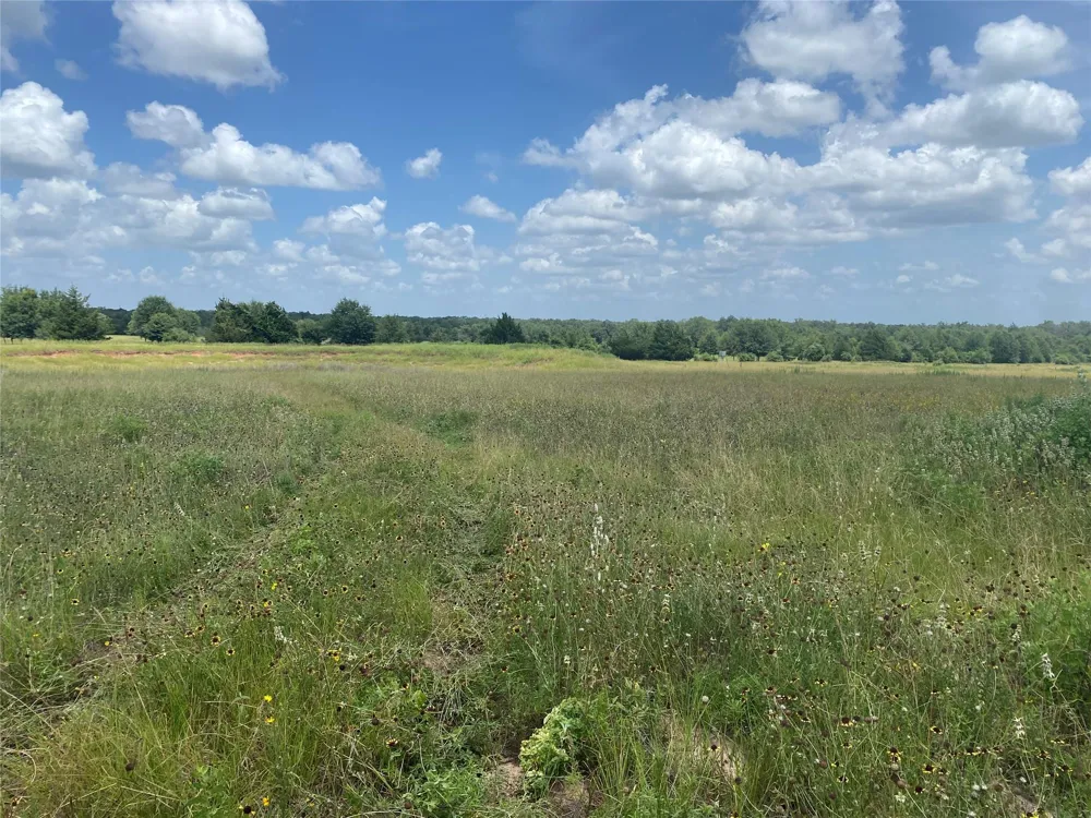 10675 Whiterock Road Bremond, TX 76629