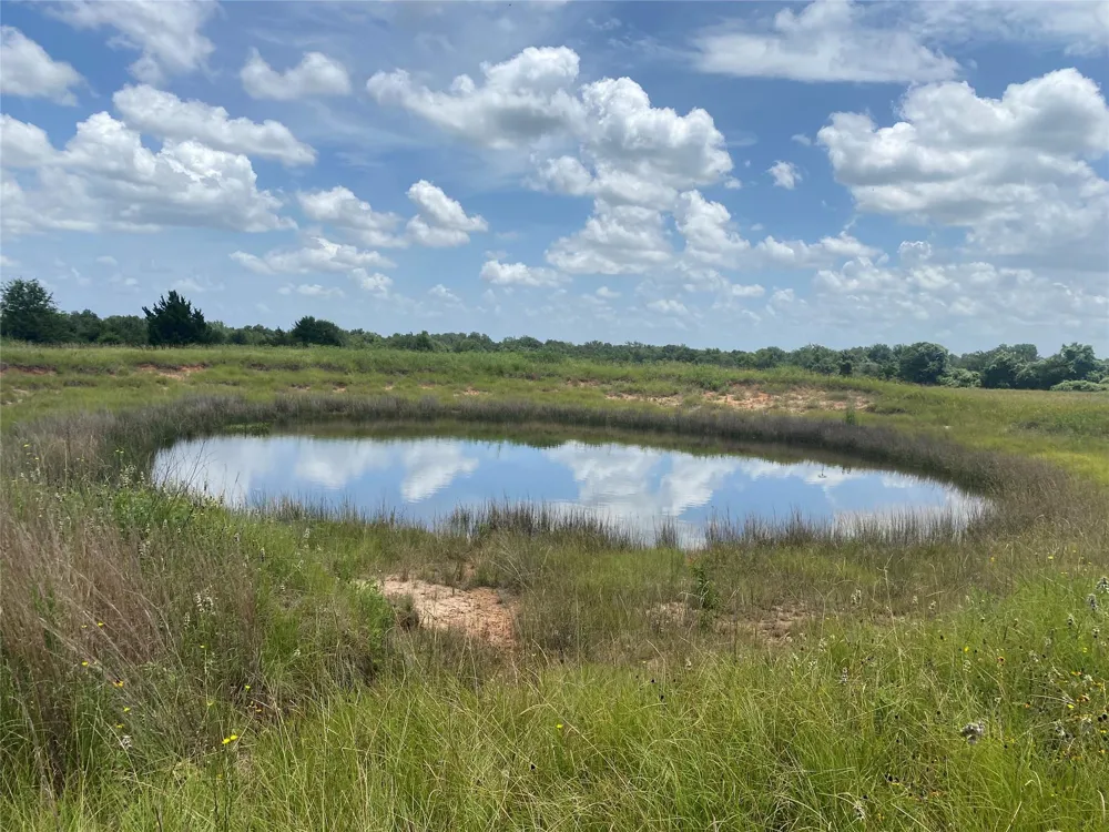 10675 Whiterock Road Bremond, TX 76629