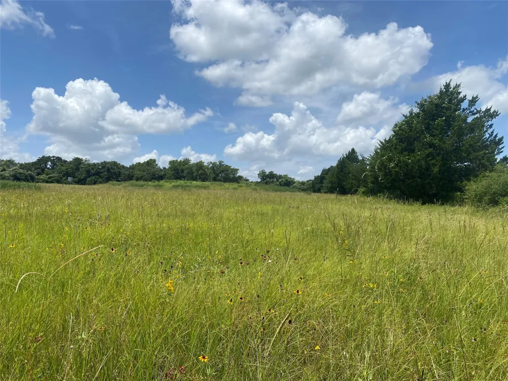 10675 Whiterock Road Bremond, TX 76629
