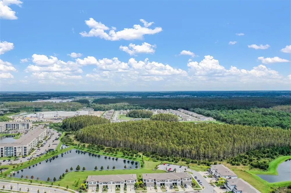 2166 GREAT SAPPHIRE LANE Lutz, FL 33558