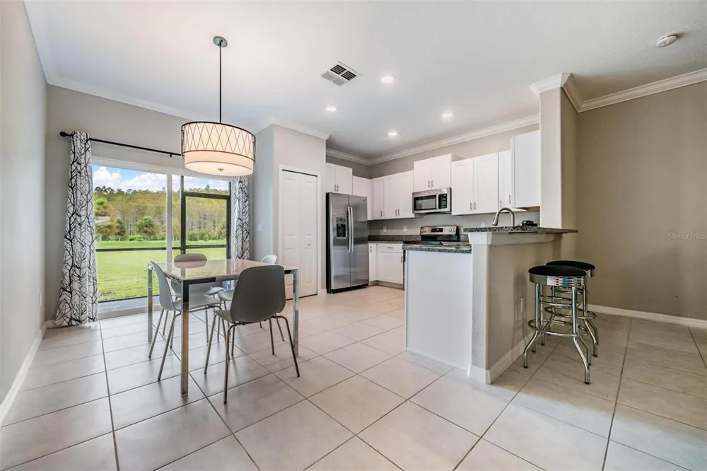 2166 GREAT SAPPHIRE LANE Lutz, FL 33558