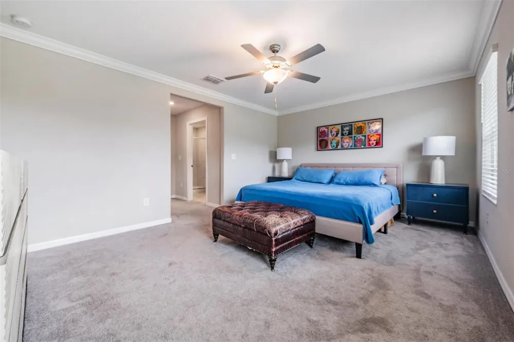 2166 GREAT SAPPHIRE LANE Lutz, FL 33558