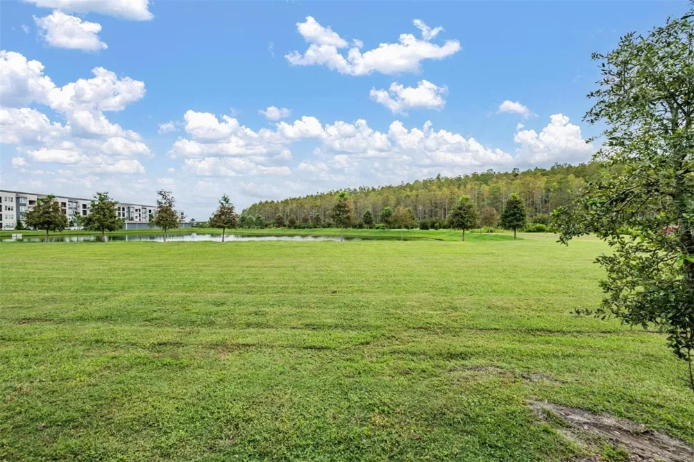 2166 GREAT SAPPHIRE LANE Lutz, FL 33558