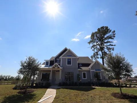 21003 Yellow Ipe Grove Court
