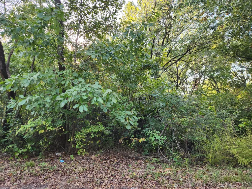 Lakeview Drive Langley, OK 74350