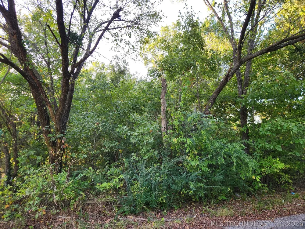 Lakeview Drive Langley, OK 74350