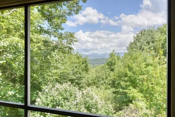 100 Sourwood Lane Hayesville, NC 28904