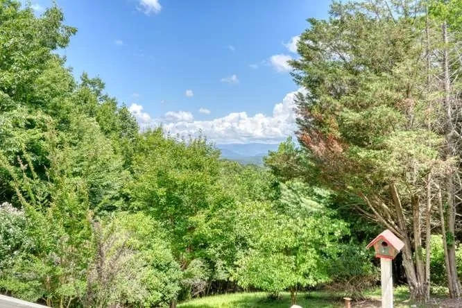 100 Sourwood Lane Hayesville, NC 28904