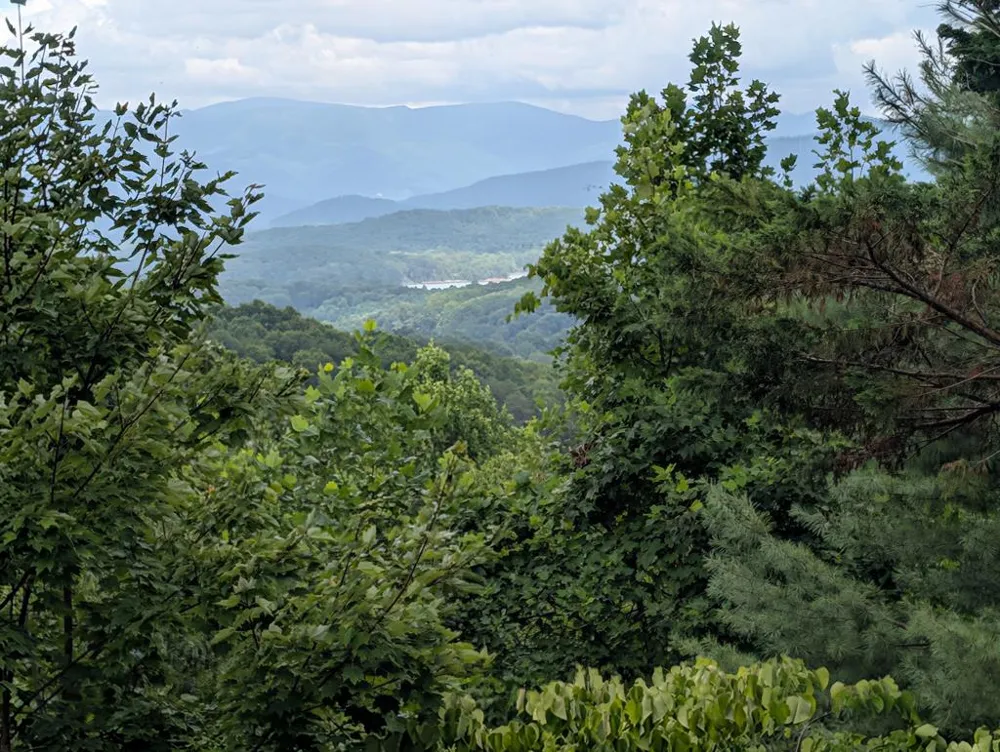 100 Sourwood Lane Hayesville, NC 28904