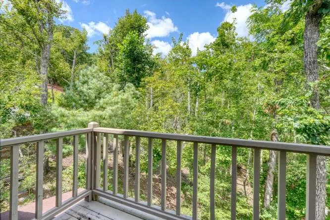 100 Sourwood Lane Hayesville, NC 28904