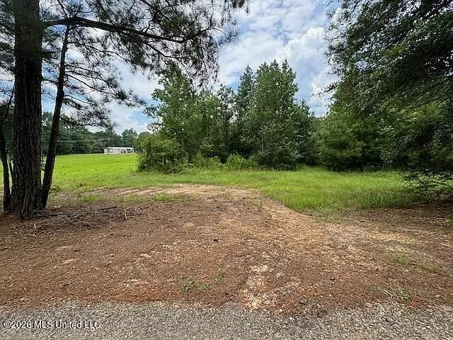 Parcel 2&3 Harper College Road Gloster, MS 39638