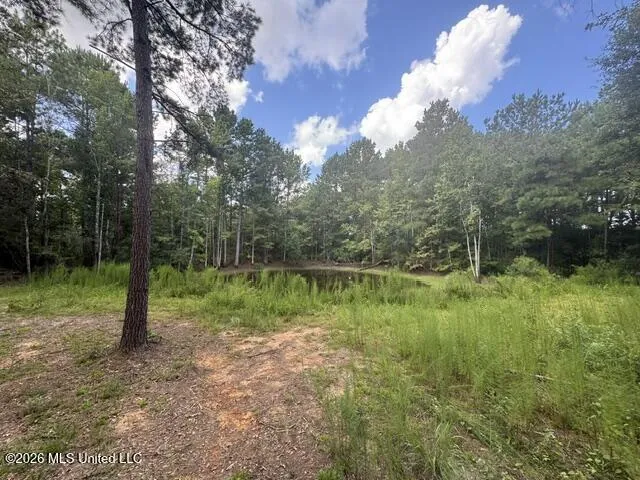 Parcel 2&3 Harper College Road Gloster, MS 39638
