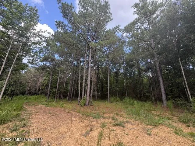 Parcel 2&3 Harper College Road Gloster, MS 39638