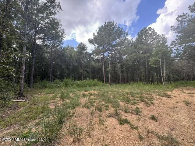 Parcel 2&3 Harper College Road Gloster, MS 39638