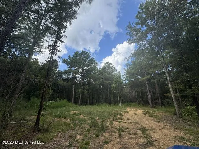 Parcel 2&3 Harper College Road Gloster, MS 39638