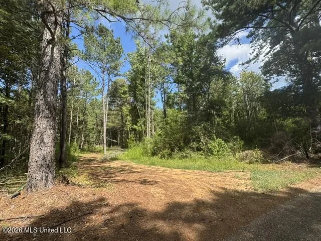 Parcel 2&3 Harper College Road Gloster, MS 39638