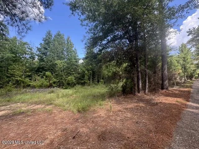 Parcel 2&3 Harper College Road Gloster, MS 39638