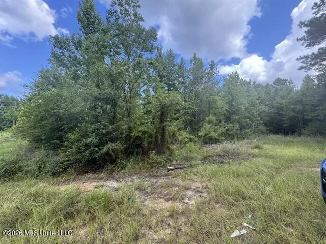 Parcel 2&3 Harper College Road Gloster, MS 39638