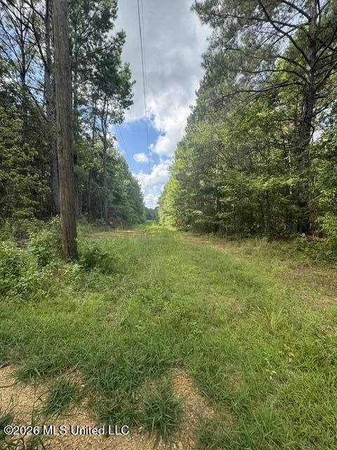 Parcel 2&3 Harper College Road Gloster, MS 39638