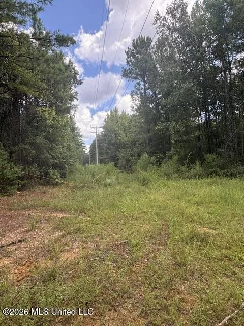 Parcel 2&3 Harper College Road Gloster, MS 39638