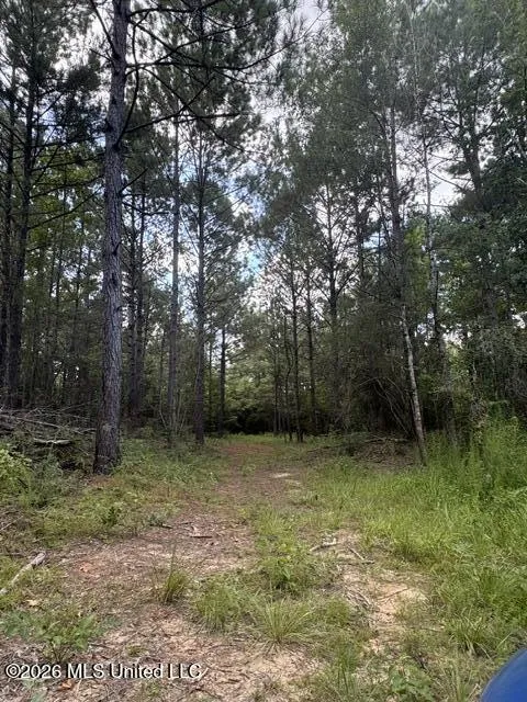 Parcel 2&3 Harper College Road Gloster, MS 39638