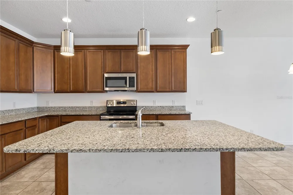 10509 SPRING ARBOR LANE Winter Garden, FL 34787