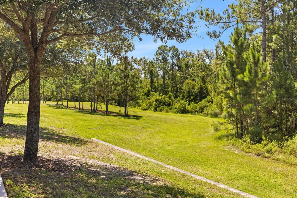 10509 SPRING ARBOR LANE Winter Garden, FL 34787