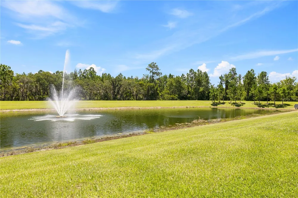 10509 SPRING ARBOR LANE Winter Garden, FL 34787