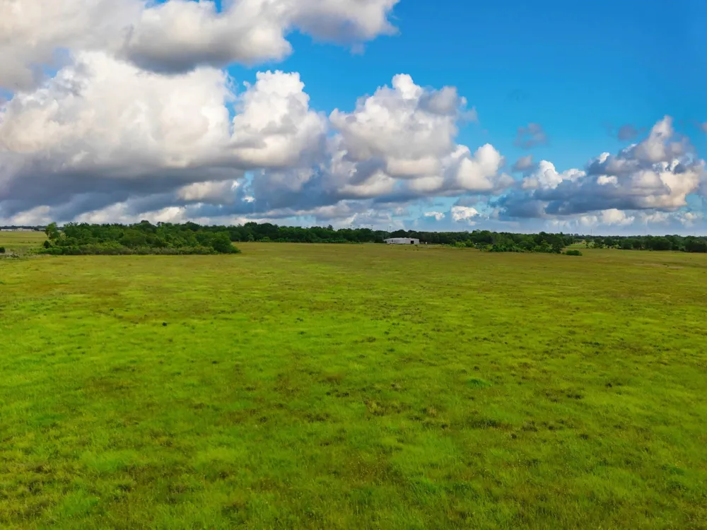 33753 Betka Road Waller, TX 77484