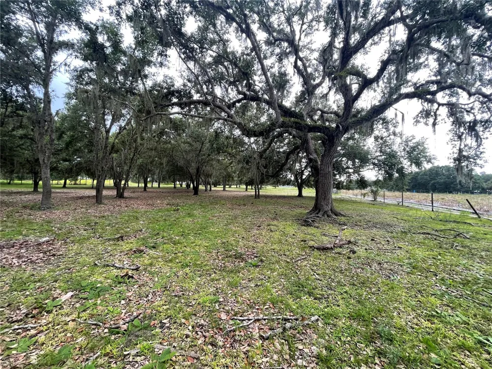 5187 DEER RUN DRIVE Zolfo Springs, FL 33890