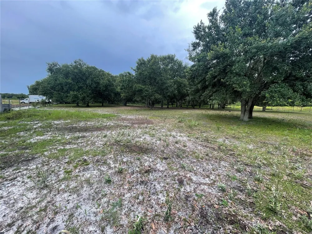 5187 DEER RUN DRIVE Zolfo Springs, FL 33890