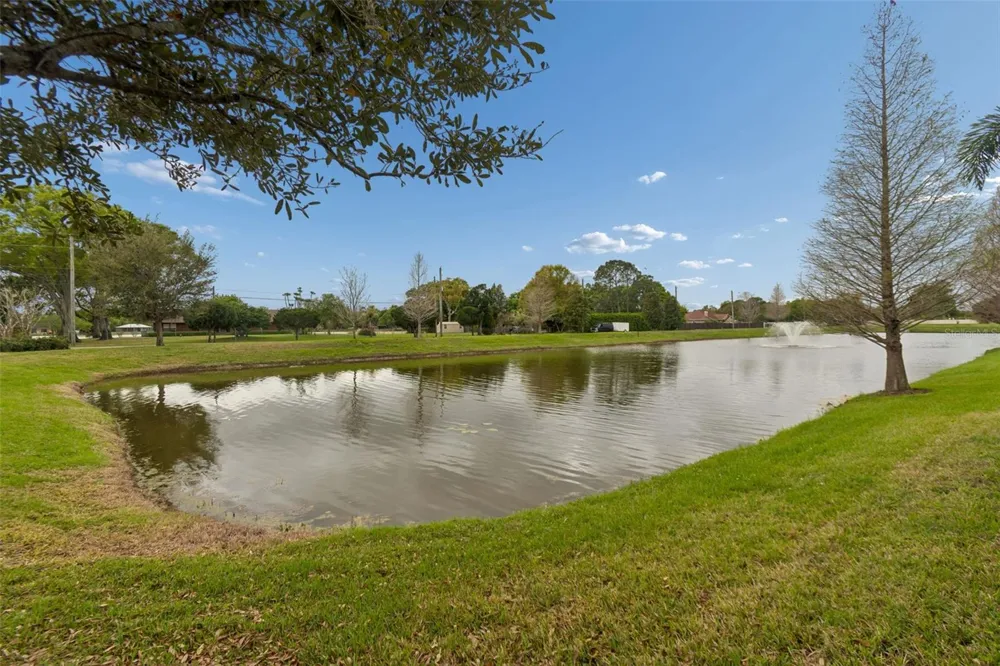 11512 NAVEL ORANGE WAY Tampa, FL 33626