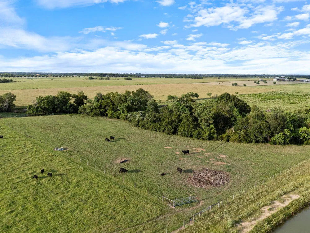 15610 Penick Rd Waller, TX 77484