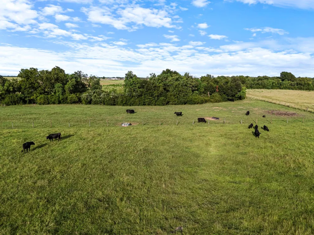 15610 Penick Rd Waller, TX 77484