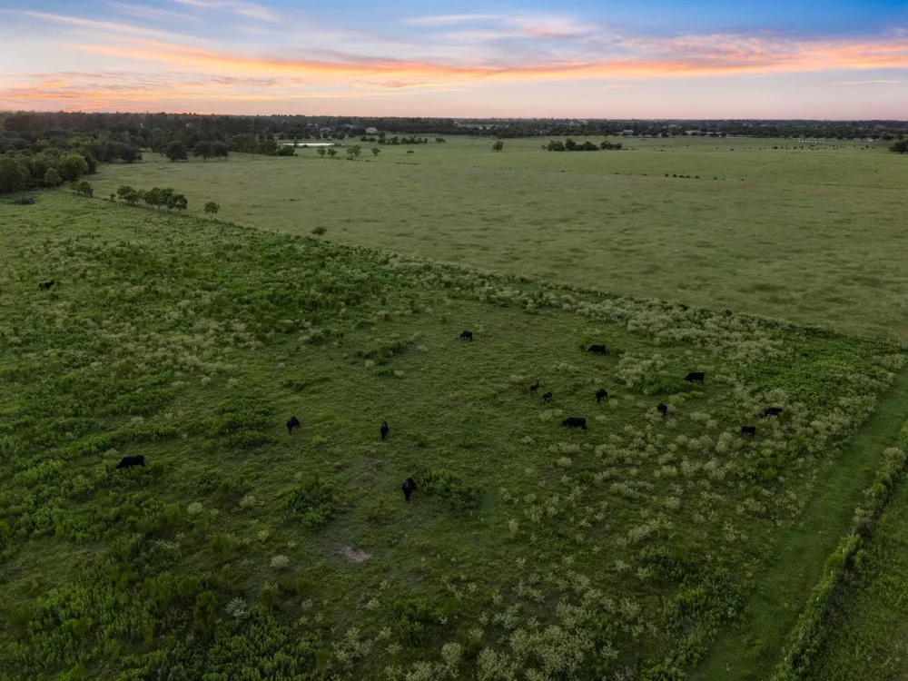 15610 Penick Rd Waller, TX 77484