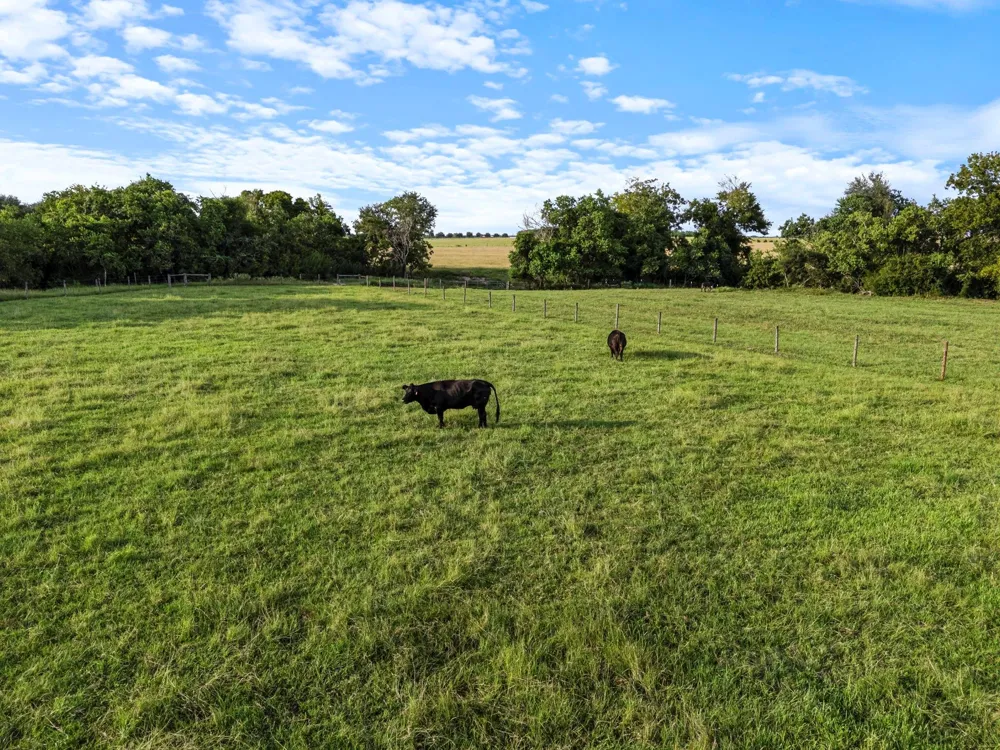 15610 Penick Rd Waller, TX 77484