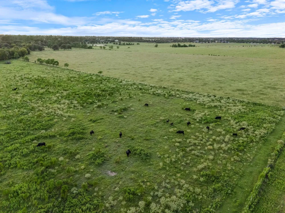 15610 Penick Rd Waller, TX 77484