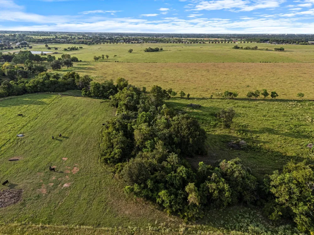 15610 Penick Rd Waller, TX 77484