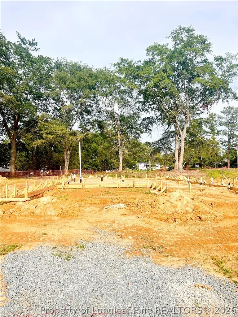 162 Stone Creek (Lot 19) Drive Coats, NC 27521