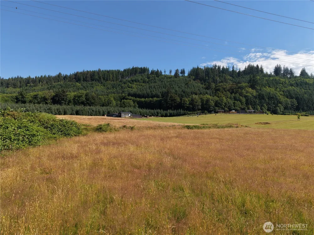 134 Dancing Elk Road Beaver, WA 98305