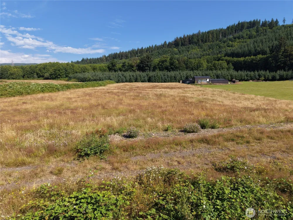 134 Dancing Elk Road Beaver, WA 98305
